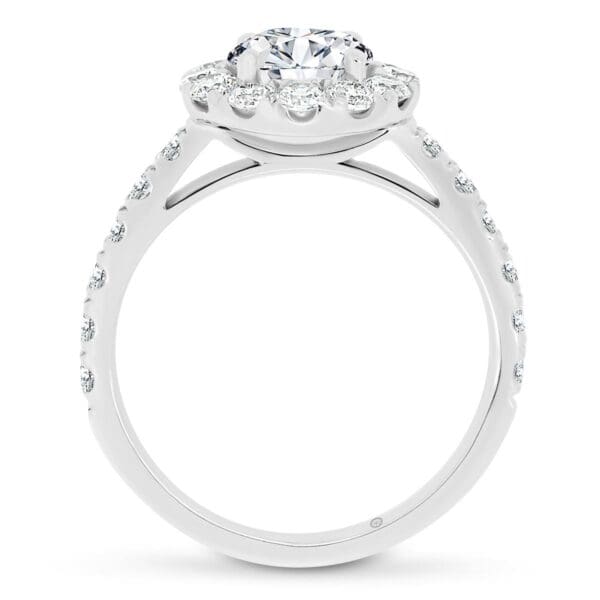 Banksia Supernova Moissanite