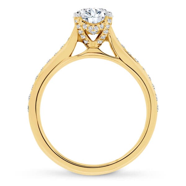Cambridge Supernova Moissanite