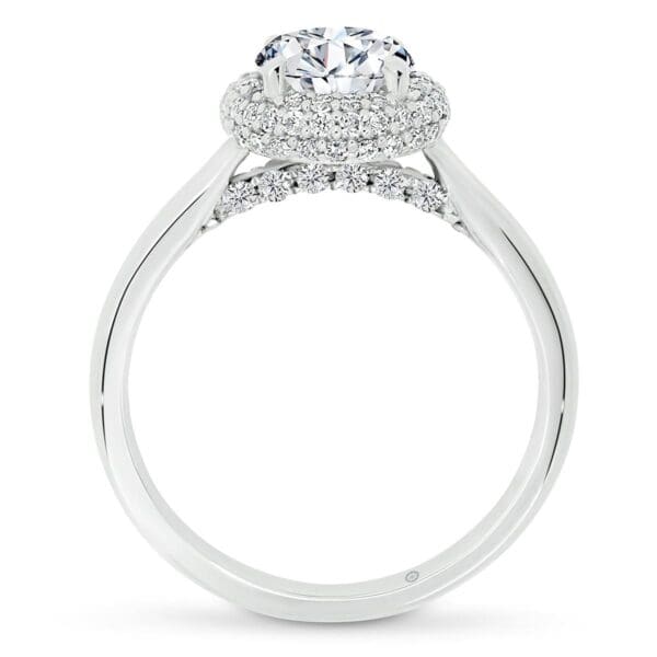 Naomi Supernova Moissanite