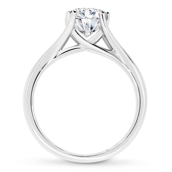 Springfield 7.5-8.0 Supernova Moissanite