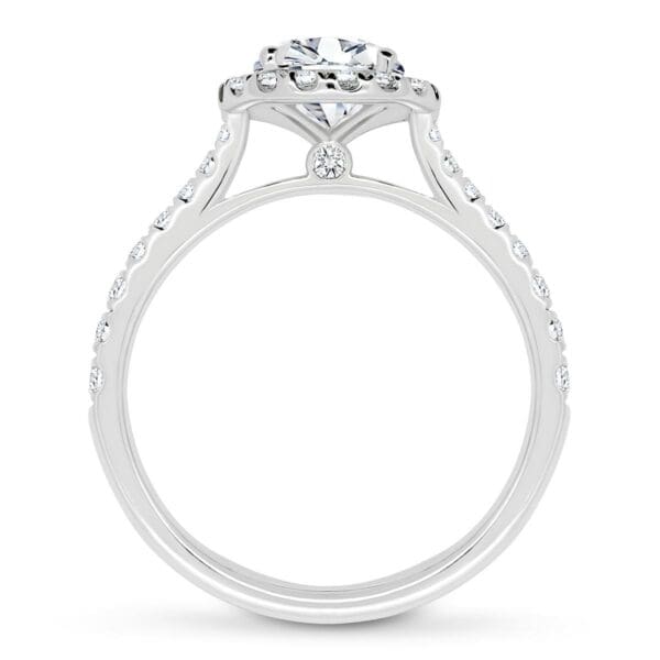 Vineyard Supernova Moissanite