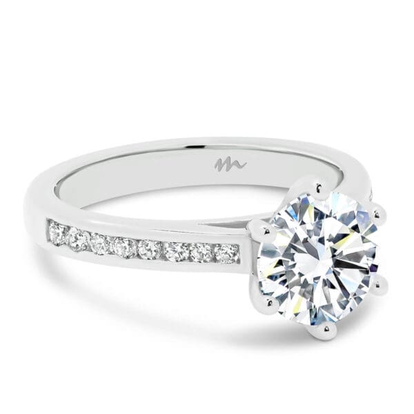 Andie Round Moissanite 6-Prong Engagement Ring With Channel Set Moissanite Band