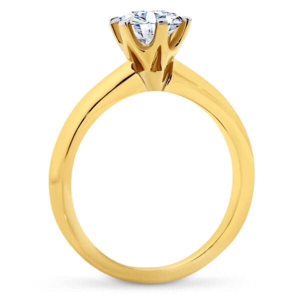 Audrey 6.5-7.0 Supernova Moissanite