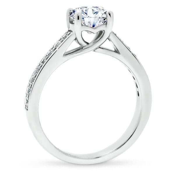 Bianca Round 6.5-7.0 Supernova Moissanite