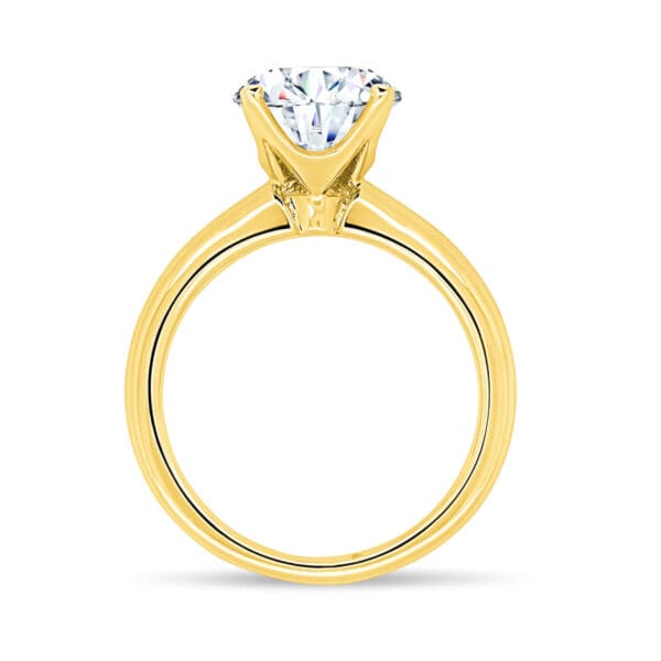 Fiona Round 8.5-9.0 Supernova Moissanite