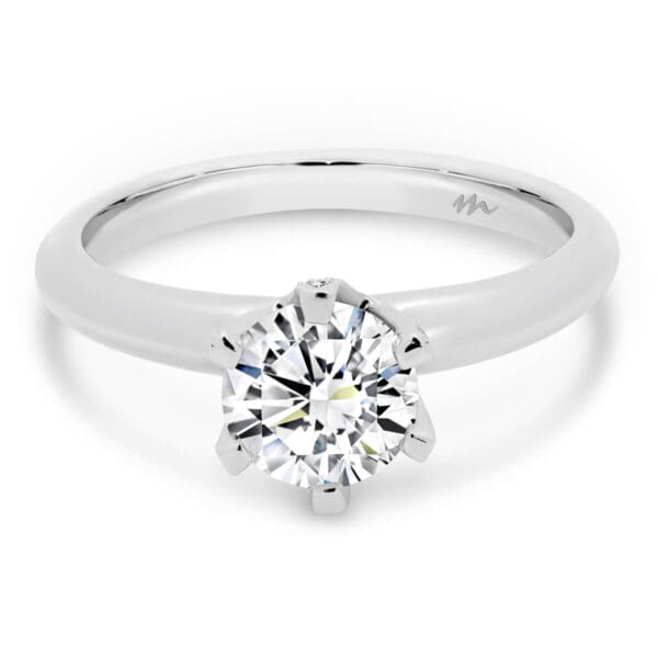 Fiore Round 6.5-7.0 Encrusted basket Moissanite Ring Side View