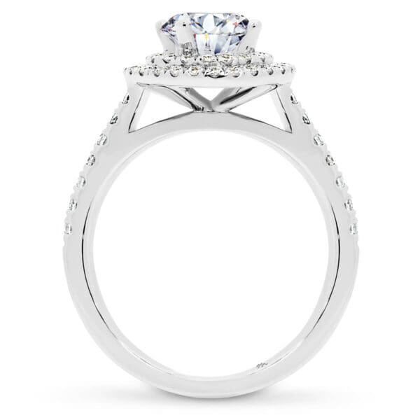 Classic Round With Delicate Double Halo