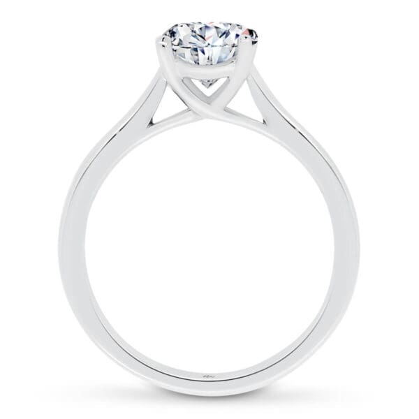 Nina 7.5-8.0 Supernova Moissanite