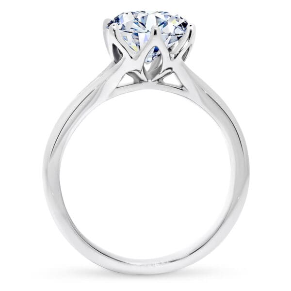 Protea 7.5-8.0 Supernova Moissanite