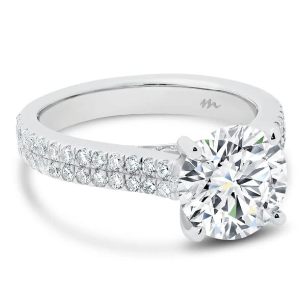 Rea 8.5-9.0 Moissanite engagement ring with 2 row prong set band