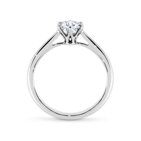 Taylor 6.0 Supernova Moissanite