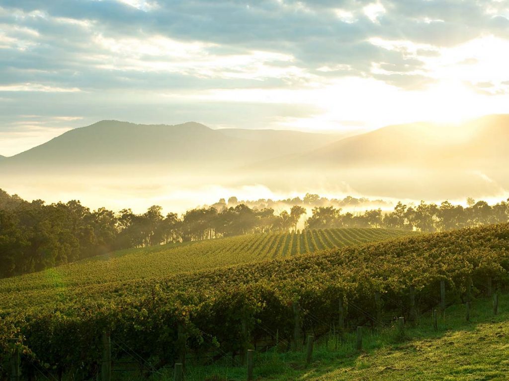  Yarra-Valley-Victoria