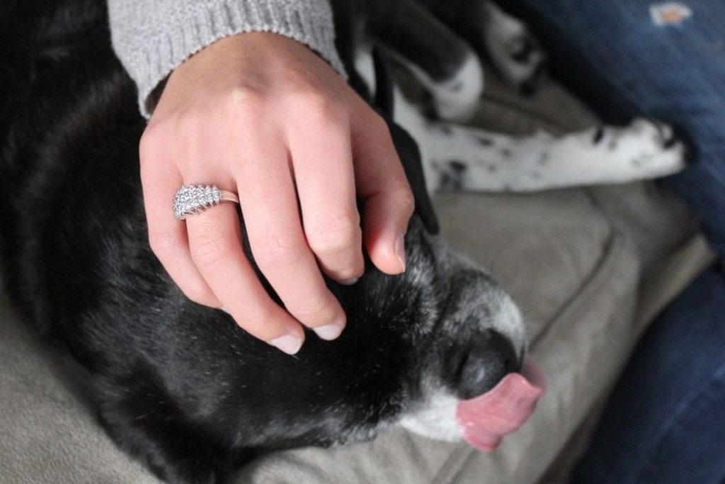 Pet Selfie Engagement Ring