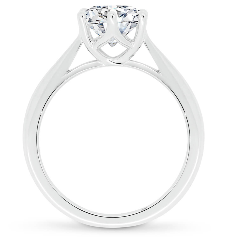 Moissanite Engagement Ring