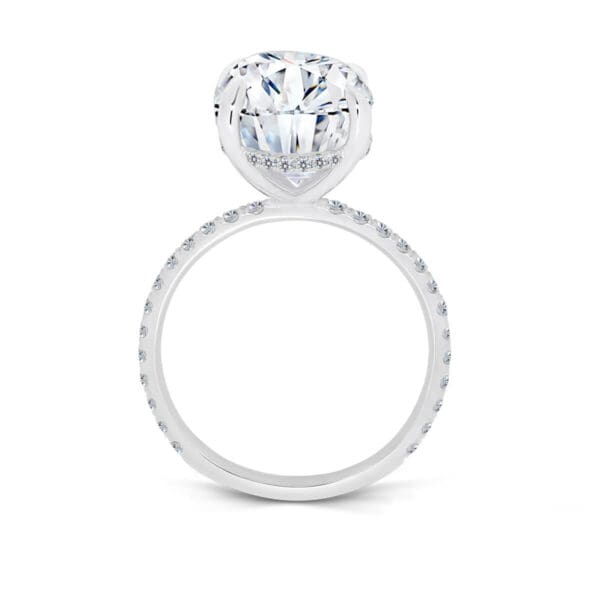 Aurora 14X10 Supernova Moissanite