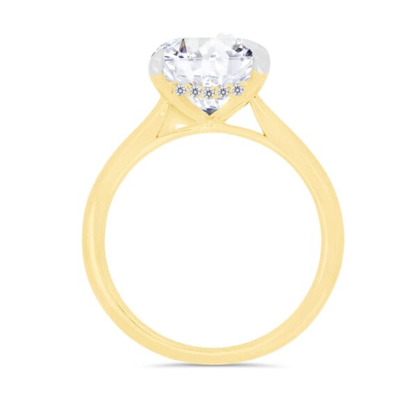 Eleanor Lab Grown Diamond