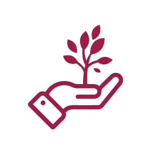 MM_MB_WebTile_Icons_2
