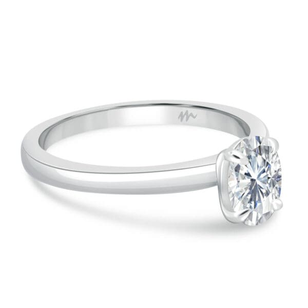 Holly Oval 7X5-8X6 Supernova Moissanite