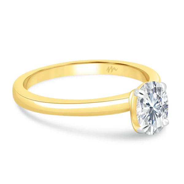 Holly Oval 7X5-8X6 Supernova Moissanite