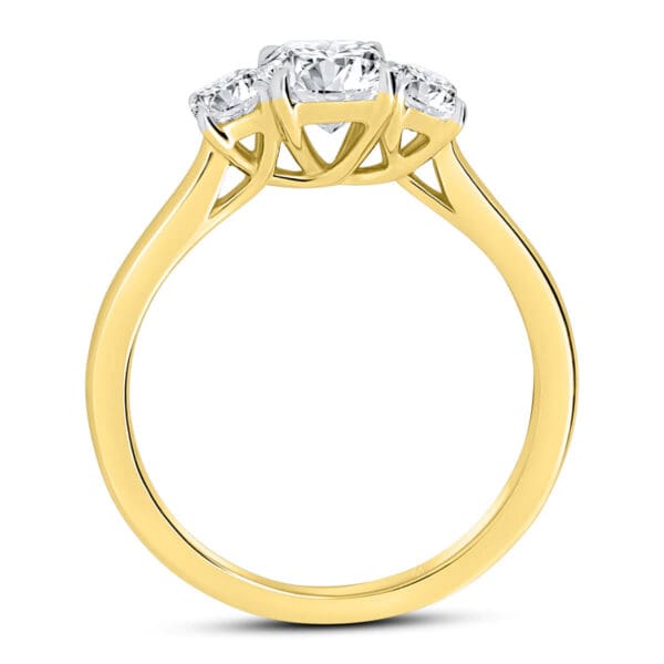 Alexa 7X5-8X6 Supernova Moissanite