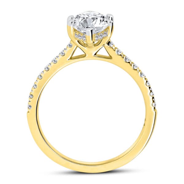 Mollie Supernova Moissanite