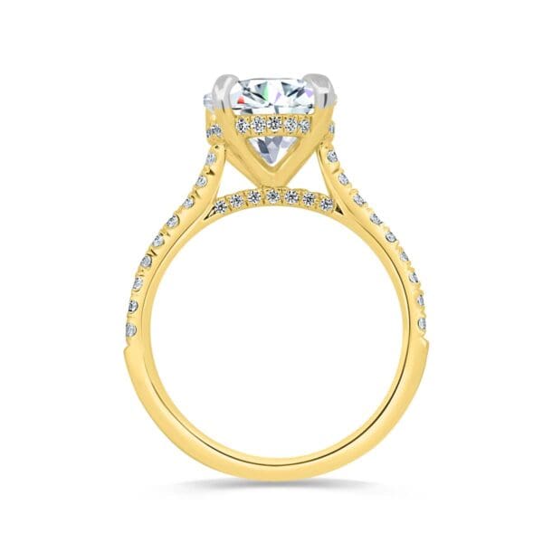 Harmony Round 8.5-9.0 Supernova Moissanite