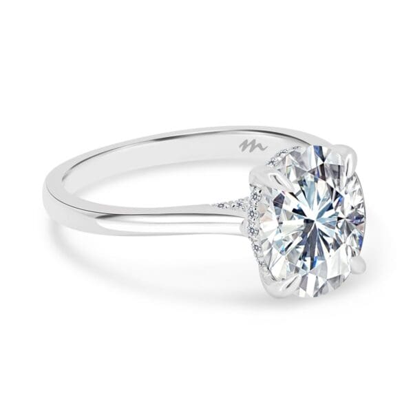 Hattie Oval 10X8 Supernova Moissanite
