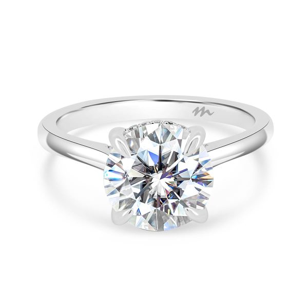 Hattie Round 8.5 ring with stone set gallery on delicate plain tapered band