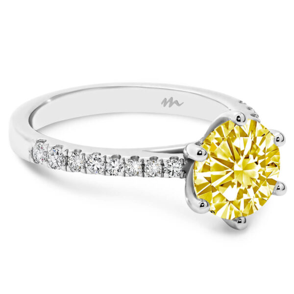 Amy 8.0 round Yellow Moissanite ring with tapered band
