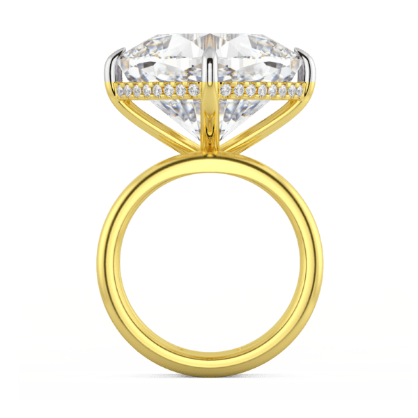 Cassandra Side Yellow Gold Moissanite East West Set Cushion Plain Double Band Ring