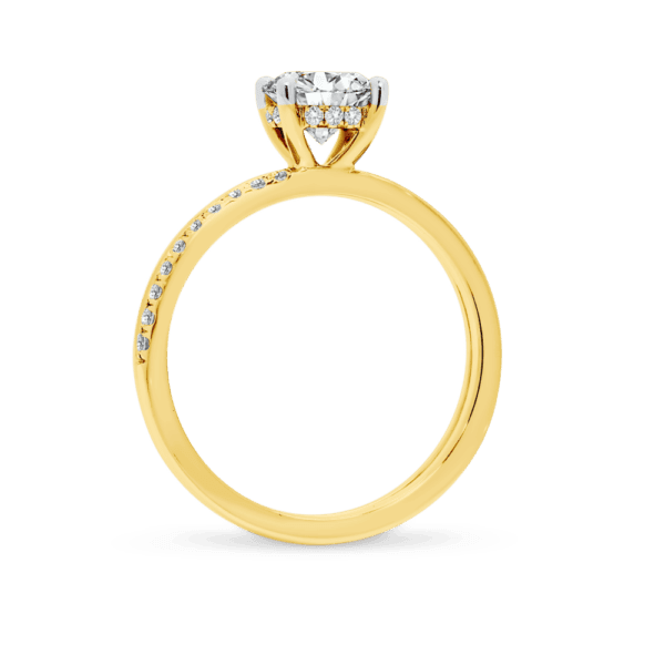 Maeve 6.5 Side Yellow Gold Diamond 4 Prong Alternating Accented Double Band Ring