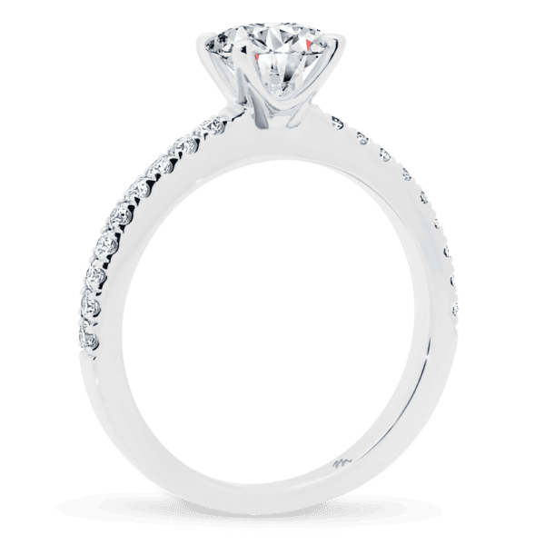 Payton 6.5 Side White Gold Diamond 4 Prong Classic Prong Set Half Band Ring
