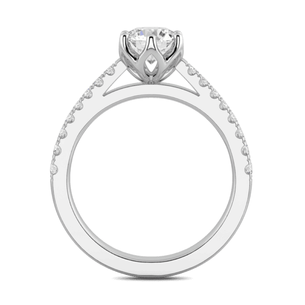 Amelia 6 5 Side White Gold Diamond Protea Floral Basket Graduating Band Engagement Ring