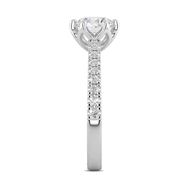 Amelia 7 5 Profile White Gold Diamond Protea Floral Basket Graduating Band Engagement Ring