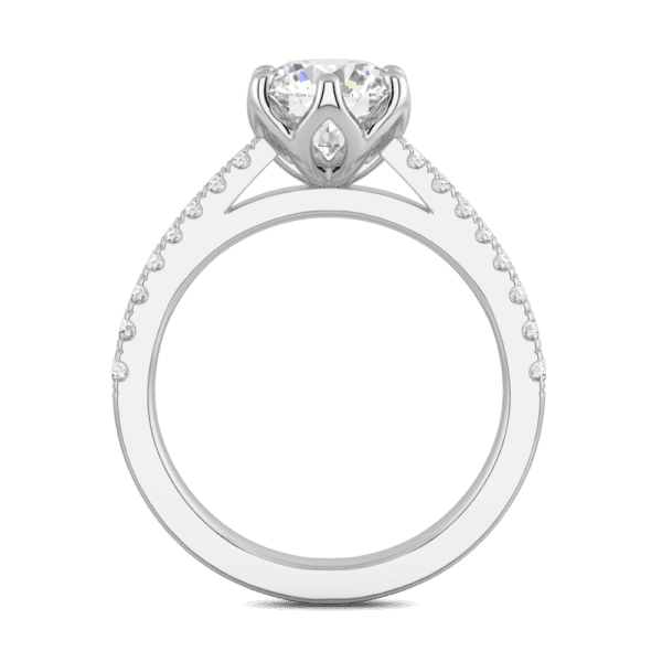Amelia 7 5 Side White Gold Diamond Protea Floral Basket Graduating Band Engagement Ring