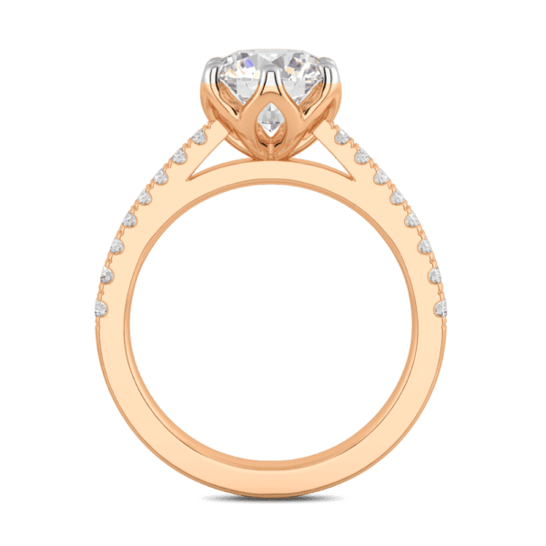 Amelia 8 0 Side Rose Gold Diamond Protea Floral Basket Graduating Band Engagement Ring
