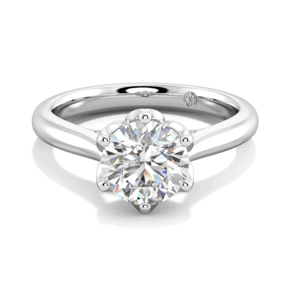 Coral 7 5 Front White Gold Lab Grown Diamond Protea Basket 6 Prong Accented Bridge Solitaire Ring