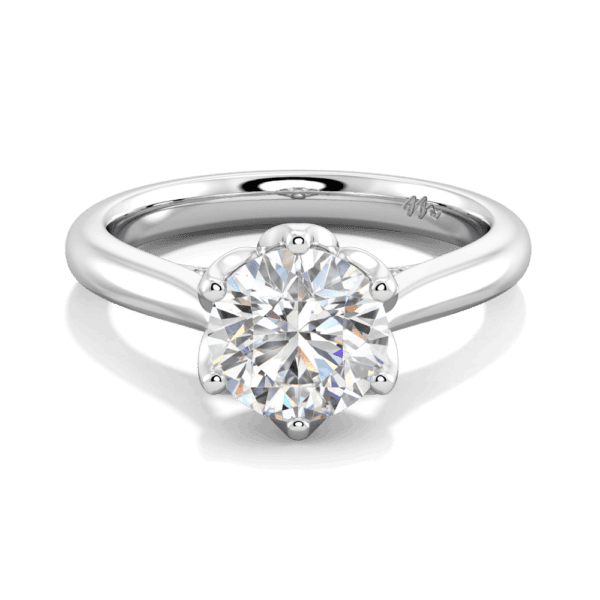 Coral 7 5 Front White Gold Moissanite Protea Basket 6 Prong Accented Bridge Solitaire Ring