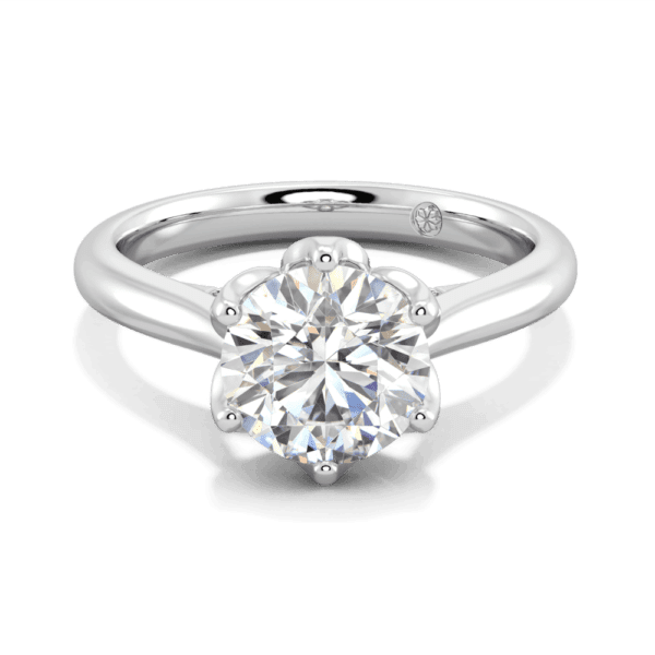 Coral 8 0 Front White Gold Lab Grown Diamond Protea Basket 6 Prong Accented Bridge Solitaire Ring