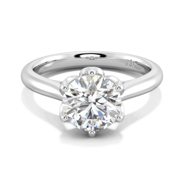 Coral 8 0 Front White Gold Moissanite Protea Basket 6 Prong Accented Bridge Solitaire Ring