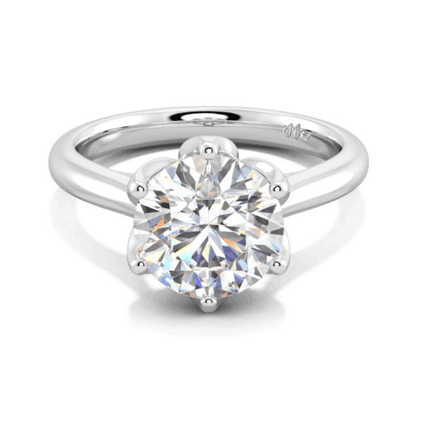 Coral 9 0 Front White Gold Moissanite Protea Basket 6 Prong Accented Bridge Solitaire Ring