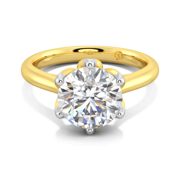 Coral 9 0 Front Yellow Gold Lab Grown Diamond Protea Basket 6 Prong Accented Bridge Solitaire Ring