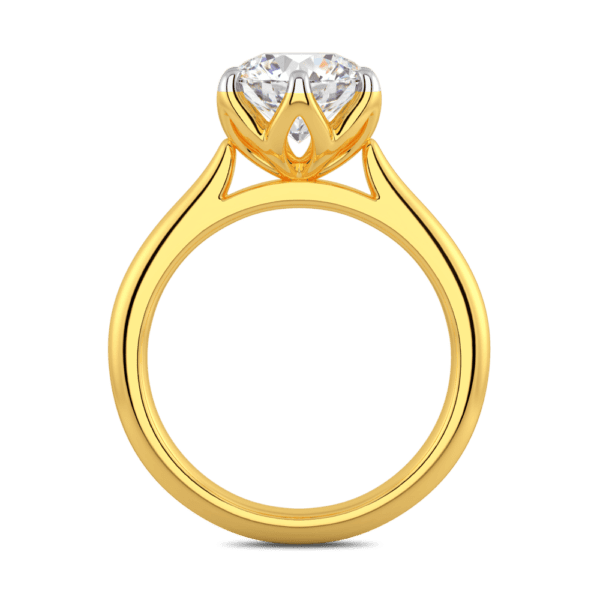 Correa 8 0 Side Yellow Gold Diamond Protea Basket Rounded Tapered Solitaire Ring