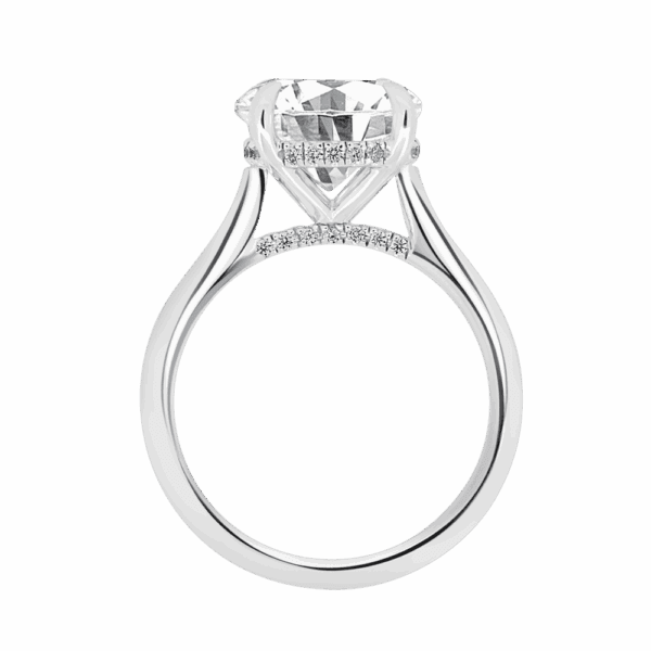 Hattie Round 10 0 Side White Gold Diamond 4 Prong Accented Under Rail Bridge Tapered Engagement Ring