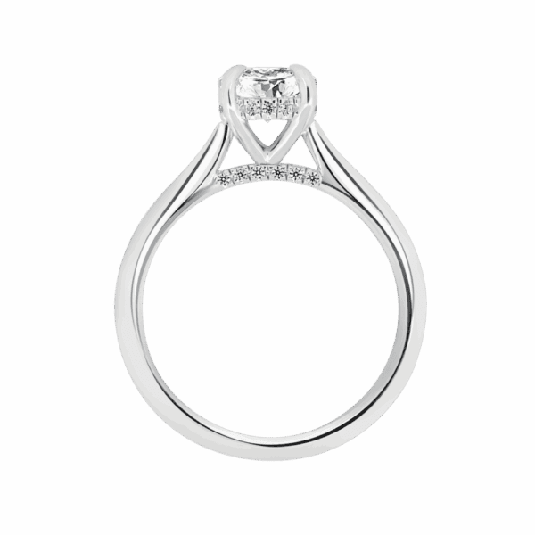 Hattie Round 6 5 Side White Gold Diamond 4 Prong Accented Under Rail Bridge Tapered Engagement Ring