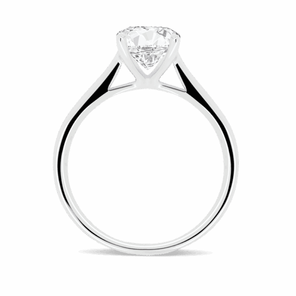 Lanefield Round 6 5 Side White Gold Diamond 4 Prong Solitaire Open Gallery Cathedral Band Ring