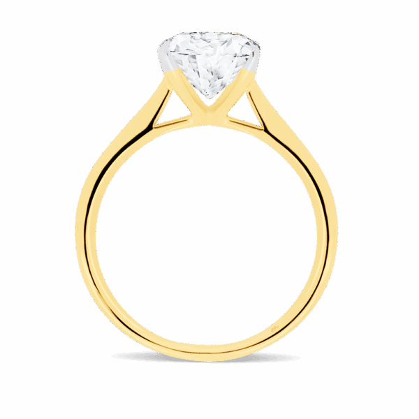 Lanefield Round 7 5 Side Yellow Gold Moissanite 4 Prong Solitaire Open Gallery Cathedral Band Ring
