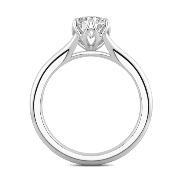 Protea 6 5 Side White Gold Diamond Floral Gallery Split Band Solitaire Ring
