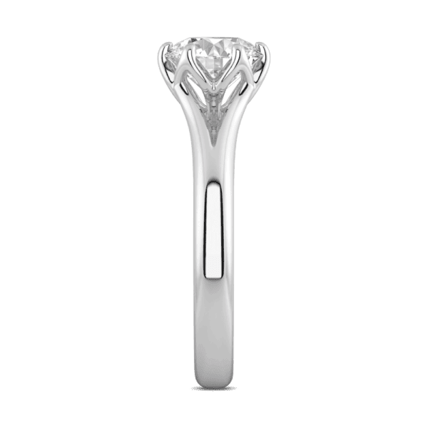 Protea 7 5 Profile White Gold Diamond Floral Gallery Split Band Solitaire Ring