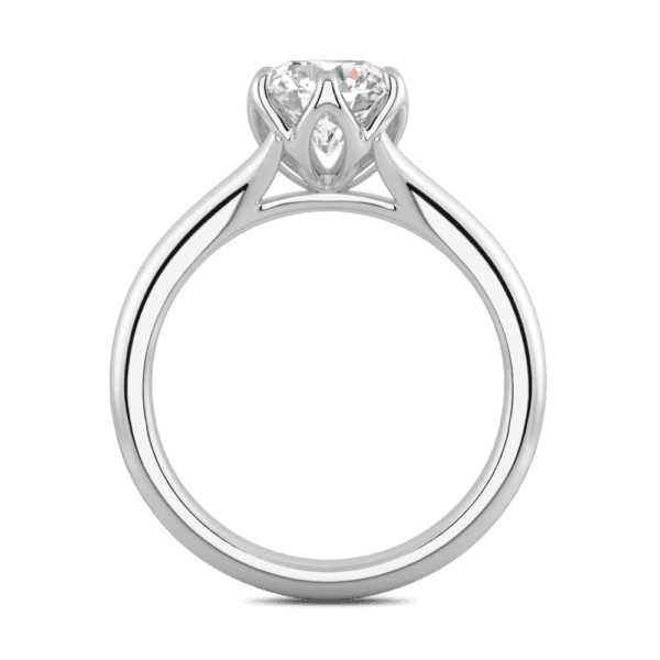 Protea 7 5 Side White Gold Diamond Floral Gallery Split Band Solitaire Ring